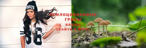 прущие крисы Куйбышев