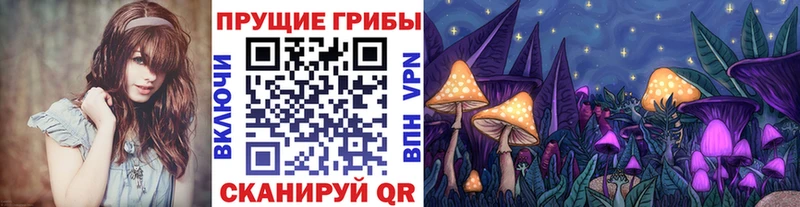 цена   Полевской  Псилоцибиновые грибы мухоморы 