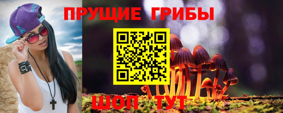 Псилоцибиновые грибы мухоморы Полевской