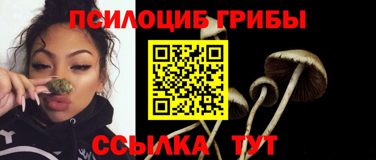  COCAIN Полевской